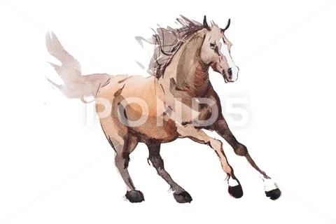 Watercolor painting of galloping horse, free running mustang aquarelle Stock Illustration