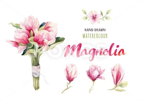 Watercolor Painting Magnolia Blossom Flower Wallpaper Decoration