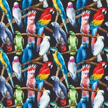 Watercolor parrot pattern Stock Illustration