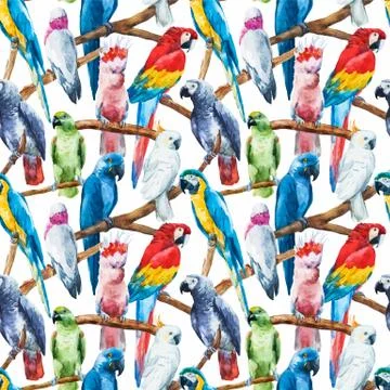 Watercolor parrot pattern Stockillustratie
