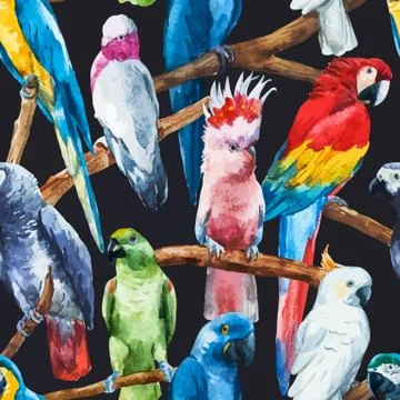 Watercolor parrot pattern 스톡 일러스트