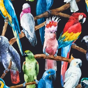 Watercolor parrot pattern 스톡 일러스트