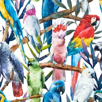 Watercolor parrot pattern 스톡 일러스트