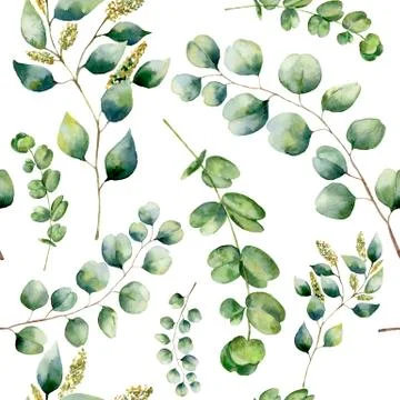 Watercolor pattern with eucalyptus. Hand painted floral ornament with silver Stock Illustration