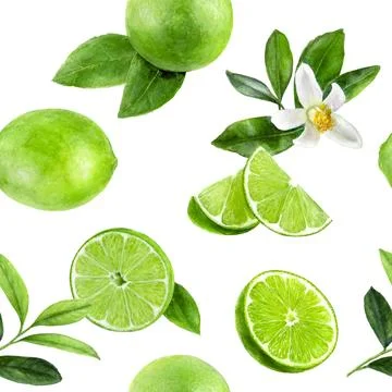 Watercolor pattern features lime slices and leaves, perfect for fresh and citric Illustrazione stock