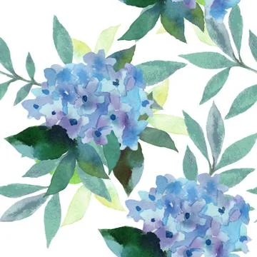 Watercolor  pattern of Hydrangea flowers Stock Illustration
