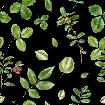 Watercolor pattern with leaves on black background Stock Illustration