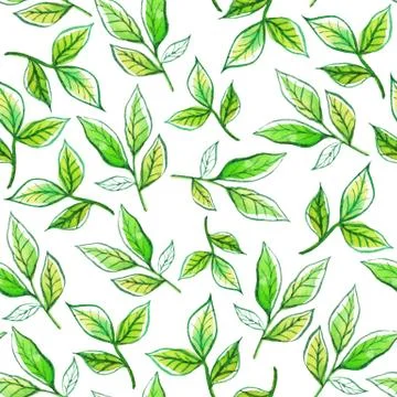 Watercolor pattern leaves Stock Illustration