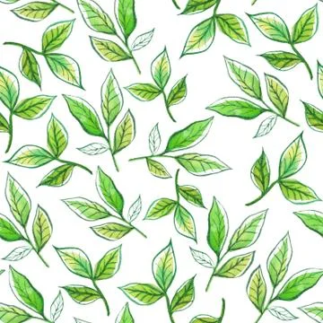 Watercolor pattern leaves Stock Illustration