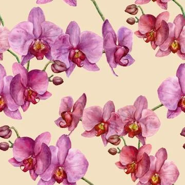 Watercolor pattern with orchids. Hand painted floral botanical ornament. For Stock Illustration