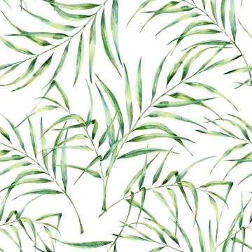 Watercolor pattern with palm tree leaves. Hand painted exotic greenery branch Stock Illustration