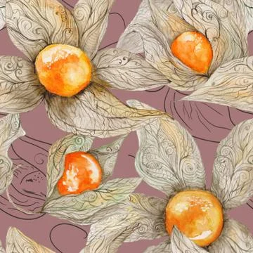 Watercolor Pattern with Physalis Stock Illustration