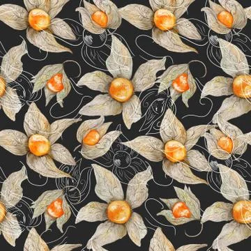 Watercolor Pattern with Physalis Stock Illustration