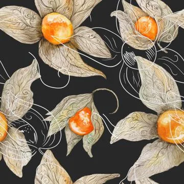 Watercolor Pattern with Physalis Stock Illustration