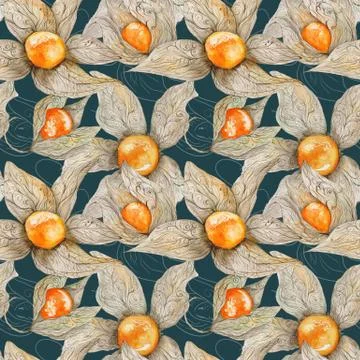 Watercolor Pattern with Physalis Stock Illustration