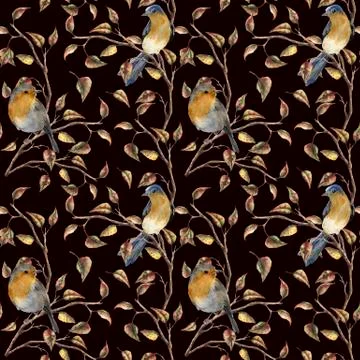 Watercolor pattern with robin sitting on tree branch. Autumn illustration with Stock Illustration