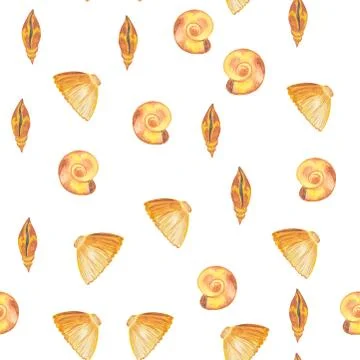 Watercolor pattern of seashells on a white background. Sea life Illustrazione stock