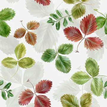 Watercolor pattern set of leaves of wild strawberry and lingonberry Stock Illustration