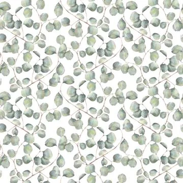 Watercolor pattern with silver dollar eucalyptus. Hand painted ornament with Stock Illustration