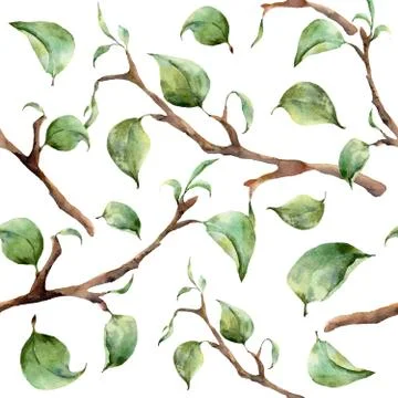 Watercolor pattern with tree branches and leaves. Hand painted spring ornament Stock Illustration