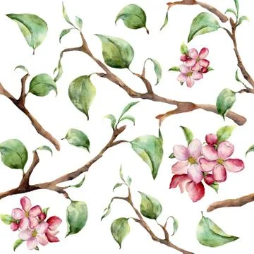 Watercolor pattern with tree branches and apple blossom. Hand painted spring Stock Illustration