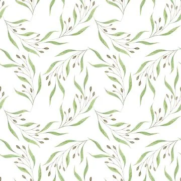 Watercolor pattern wild grass. Green grass leaves and dried seeds Stock Illustration