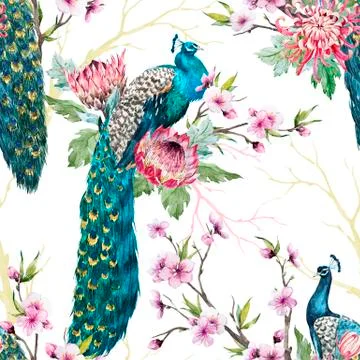 Watercolor peacock pattern Stock Illustration