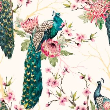 Watercolor peacock pattern Stock Illustration