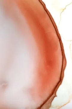 Watercolor Stock Photos