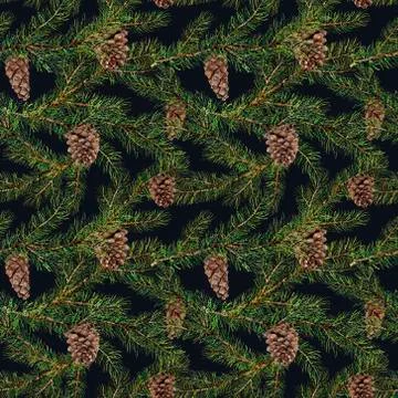 Watercolor pine tree pattern. Hand painted fir branch with pine Stock Illustration