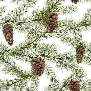 Watercolor pine tree seamless pattern. Hand painted fir branch with pine cone Stock Illustration