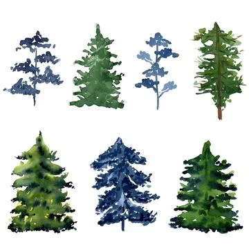 Watercolor pine tree set isolated on white. Stock Illustration