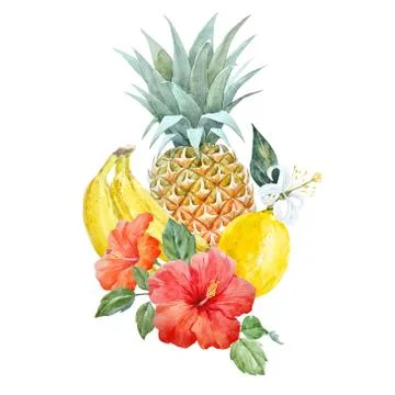 Watercolor pineapple fruit Stock Illustration