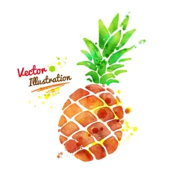 Watercolor pineapple Stock Illustration