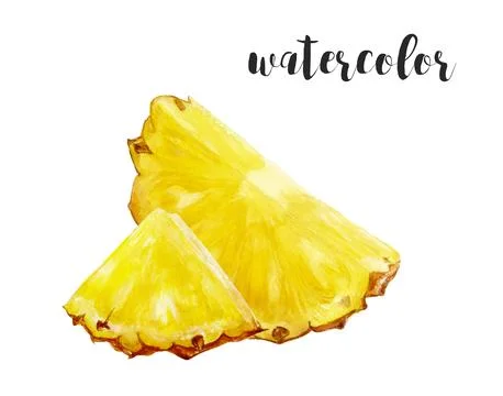Watercolor Pineapple Illustration featuring Sliced Pineapple on White Background Stock Illustration