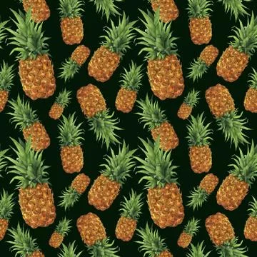 Watercolor pineapple pattern. Hand painted tropical fruit with leaves isolated Stock Illustration