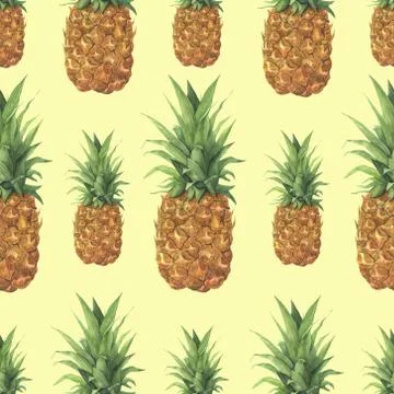 Watercolor pineapple tropical pattern. Hand painted tropical fruit with leaves Stock Illustration