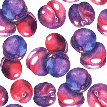 Watercolor plums, seamless pattern Stock Illustration
