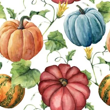 Watercolor pumpkin pattern. Hand painted pumpkin ornament with flower, leaves Stock Illustration