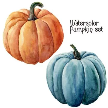 Watercolor pumpkin set. Hand painted orange and blue vegetables isolated on Stock Illustration