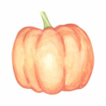 Watercolor pumpkin vector isolated hand drawn object. Vegetable engraved style Stock Illustration