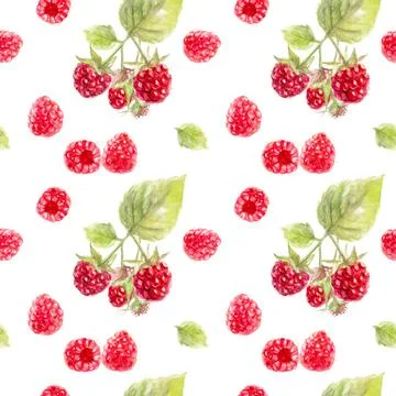 Watercolor Raspberry Pattern on White Background is ideal for fabric, fashion Illustrazione stock