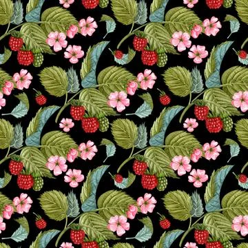 Watercolor raspberry seamless pattern on black. Raspberry berries and flowers Stock Illustration
