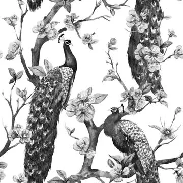 Watercolor raster peacock pattern Stock Illustration