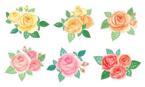 Watercolor rose bouquet elements set. Hand drawn vector illustration. Stock Illustration