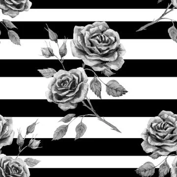 Watercolor rose pattern Illustrazione stock