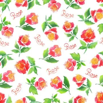 Watercolor rose pattern 스톡 일러스트