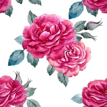 Watercolor rose seamless vector pattern Illustrazione stock