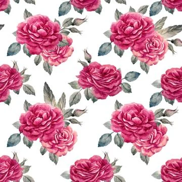 Watercolor rose seamless vector pattern Stock Illustration