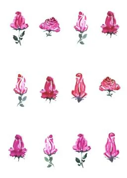 Watercolor roses background Stock Illustration